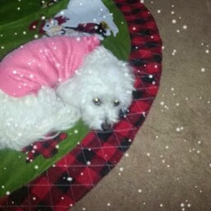 Meet your Posher, Marta